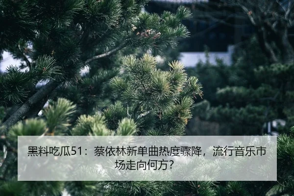 hei-liao-chi-gua-cai-yi-lin-xin-dan-qu-re-du-zhou-jiang-liu-xing-yin-yue-shi-chang-zou-xiang-he-fang-2-888.jpg